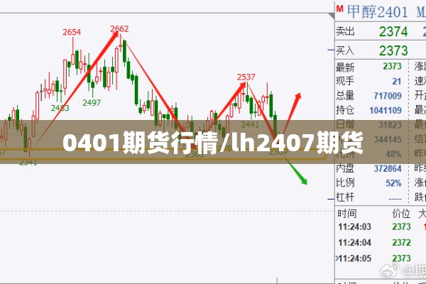 0401期货行情/lh2407期货