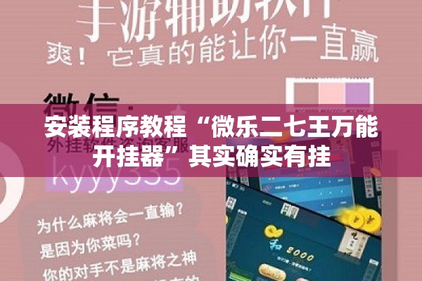 安装程序教程“微乐二七王万能开挂器	”其实确实有挂