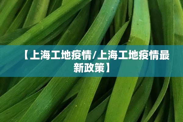 【上海工地疫情/上海工地疫情最新政策】
