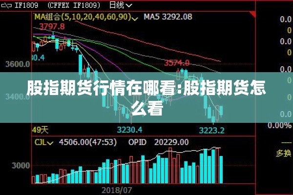 股指期货行情在哪看:股指期货怎么看