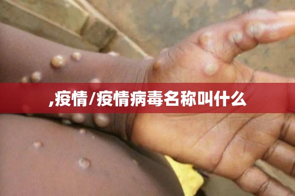 股指期货行情在哪看:股指期货怎么看