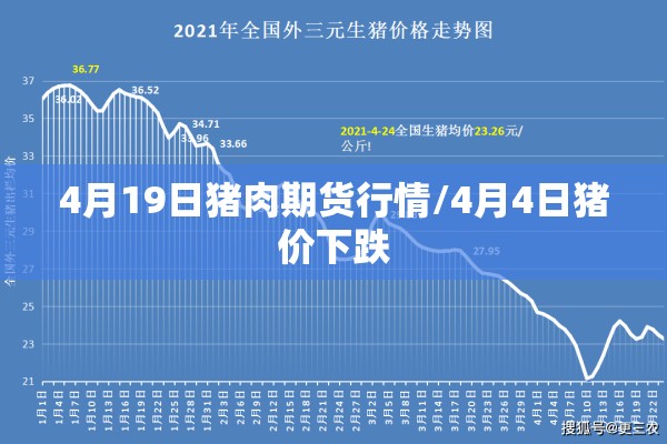 4月19日猪肉期货行情/4月4日猪价下跌