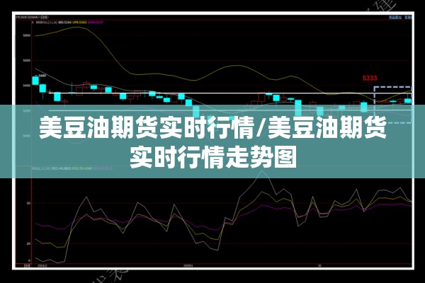 美豆油期货实时行情/美豆油期货实时行情走势图