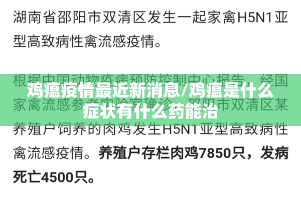 疫情感动视频短片/疫情期间的动画视频