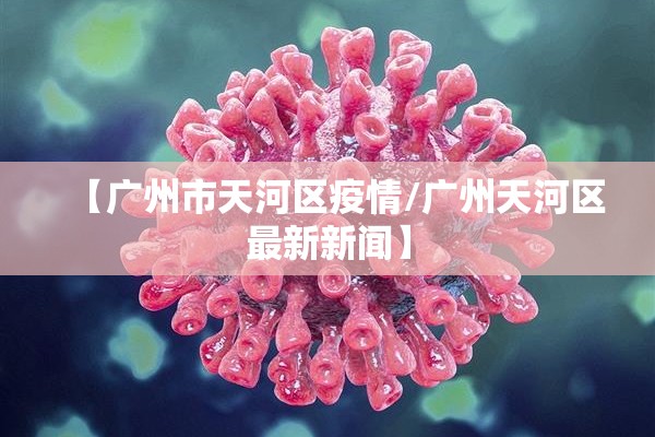 安装程序教程“手机跑胡子有什么技巧!辅助神器插件下载