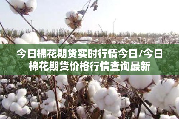 疫情最新报告厦门同安（厦门同安疫情公告）