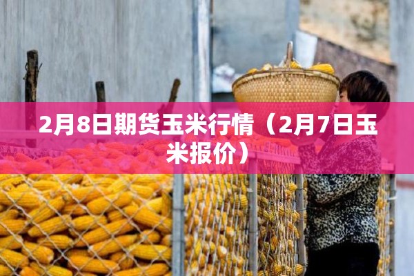 2月8日期货玉米行情（2月7日玉米报价）
