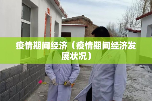疫情期间经济（疫情期间经济发展状况）