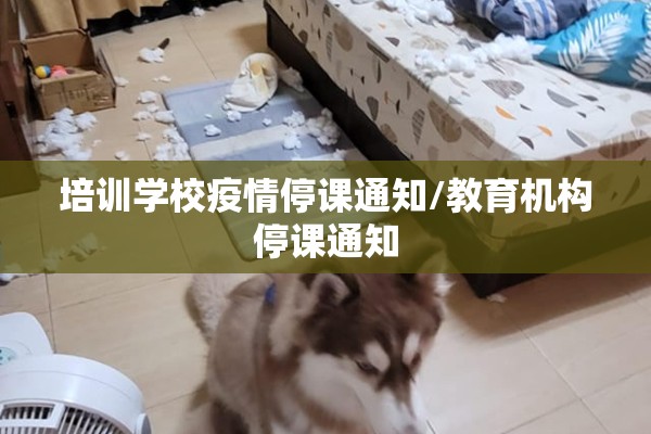 省胸科医院最新疫情/省胸科医院地址