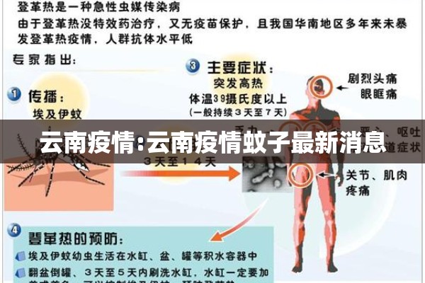 云南疫情:云南疫情蚊子最新消息