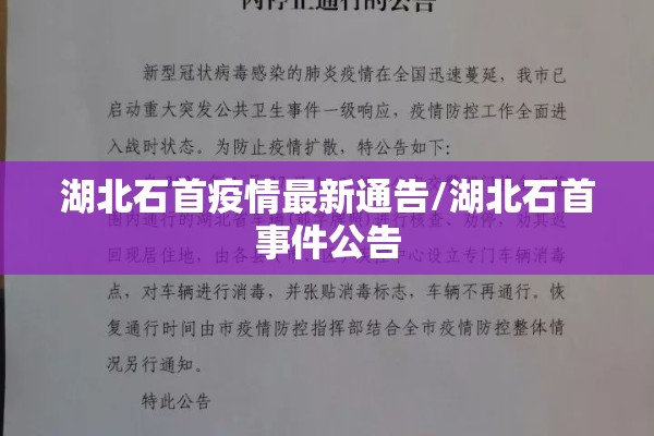 【国内期货行情财富网,国内期货最新行情】