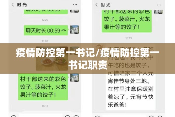 疫情防控第一书记/疫情防控第一书记职责