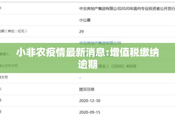小非农疫情最新消息:增值税缴纳逾期