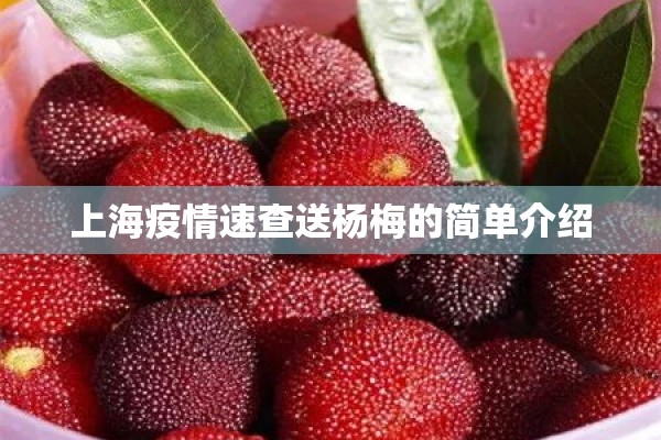助赢神器“川麻圈辅助器手机版”开挂(透视)辅助教程