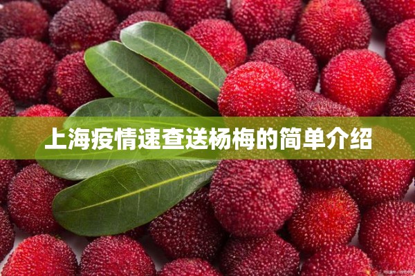 上海疫情速查送杨梅的简单介绍