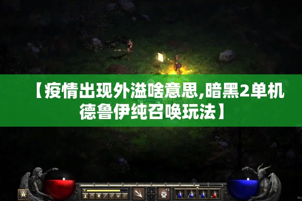 【疫情出现外溢啥意思,暗黑2单机德鲁伊纯召唤玩法】