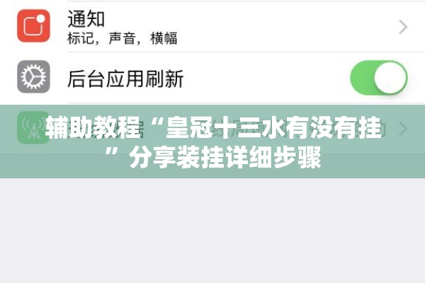 辅助教程“皇冠十三水有没有挂	”分享装挂详细步骤