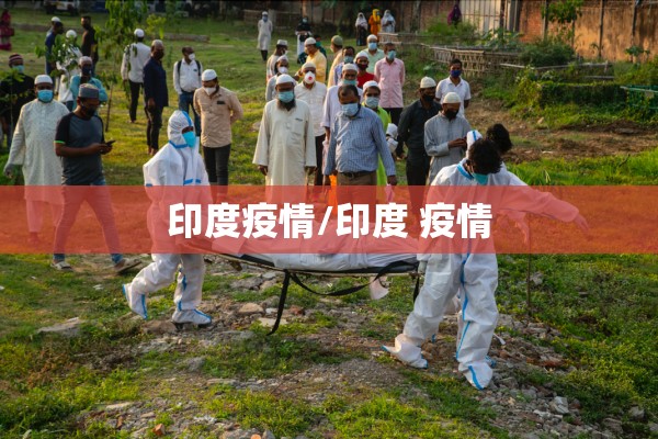 印度疫情/印度 疫情