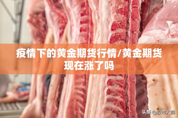 疫情下的黄金期货行情/黄金期货现在涨了吗 疫情下的黄金期货行情/黄金期货现在涨了吗