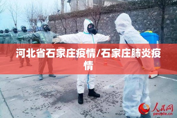 河北省石家庄疫情/石家庄肺炎疫情 河北省石家庄疫情/石家庄肺炎疫情