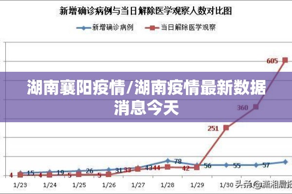 湖南襄阳疫情/湖南疫情最新数据消息今天 湖南襄阳疫情/湖南疫情最新数据消息今天