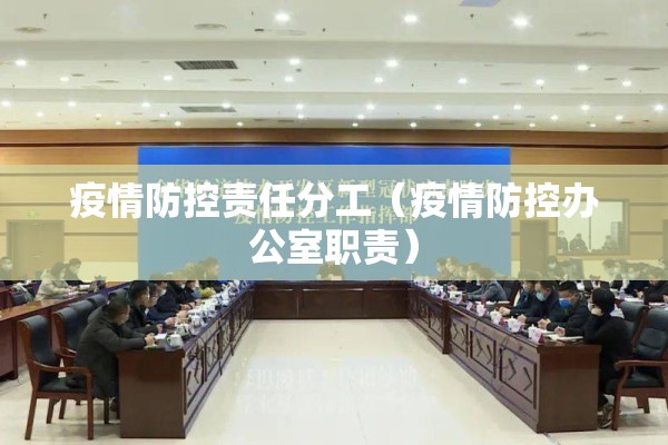 疫情防控责任分工(疫情防控办公室职责) 疫情防控责任分工(疫情防控办公室职责)