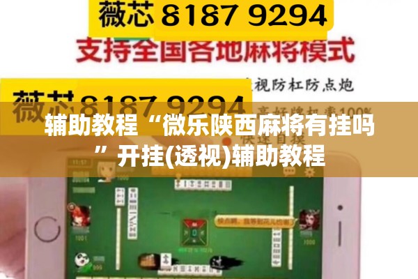 辅助教程“微乐陕西麻将有挂吗	”开挂(透视)辅助教程