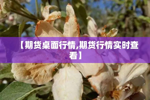 【疫情防控演讲稿/周德睿疫情演讲文稿】