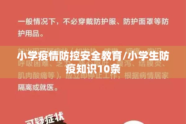 棕榈油29日期货行情/棕榈油2701期货实时
