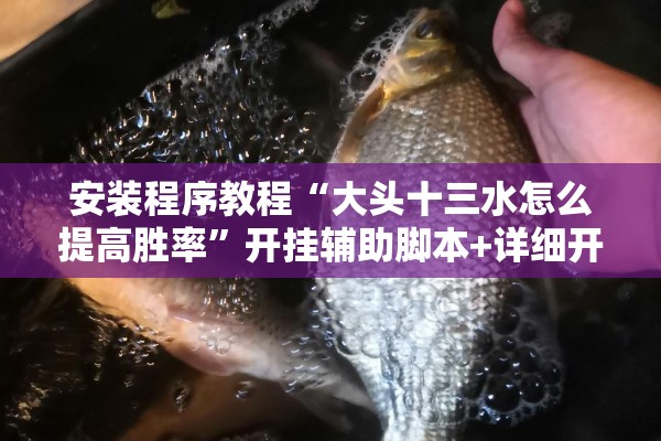 安装程序教程“大头十三水怎么提高胜率	”开挂辅助脚本+详细开挂安装教程