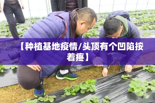 外围期货钢铁行情走势（期货外盘行情走势）