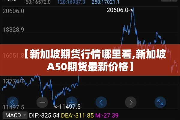中国疫情11月第二波的简单介绍