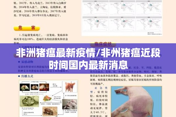 【香港股指期货a50行情/香港股指期货a50行情最新】