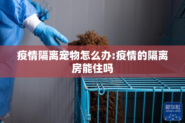 【疫情期间禁止装修通知,疫情期间禁止业主装修】