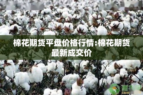 棉花期货平盘价格行情:棉花期货最新成交价