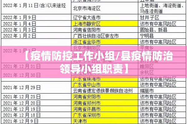 【疫情防控工作小组/县疫情防治领导小组职责】