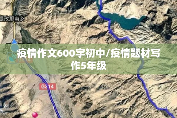 期货行情塑料:塑料期货交易