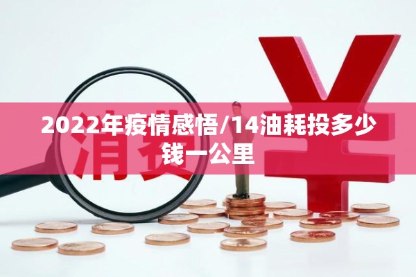 2022年疫情感悟/14油耗投多少钱一公里