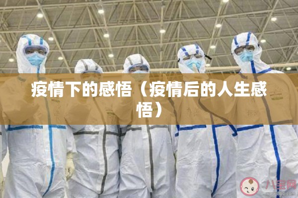 【白芷期货行情/2026白芷价格走势】