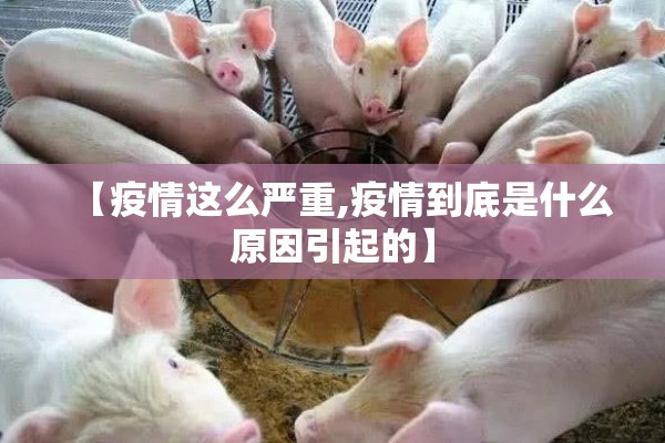 【疫情这么严重,疫情到底是什么原因引起的】