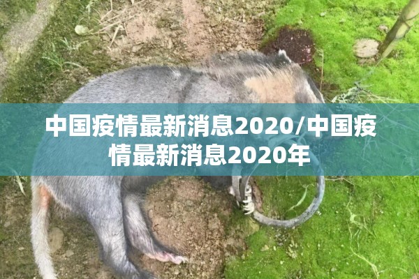辅助教程“微乐石家庄麻将有挂吗”开挂(透视)辅助教程