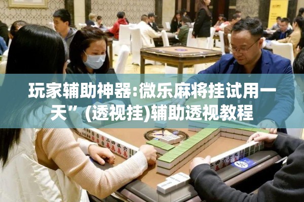 玩家辅助神器:微乐麻将挂试用一天	”(透视挂)辅助透视教程