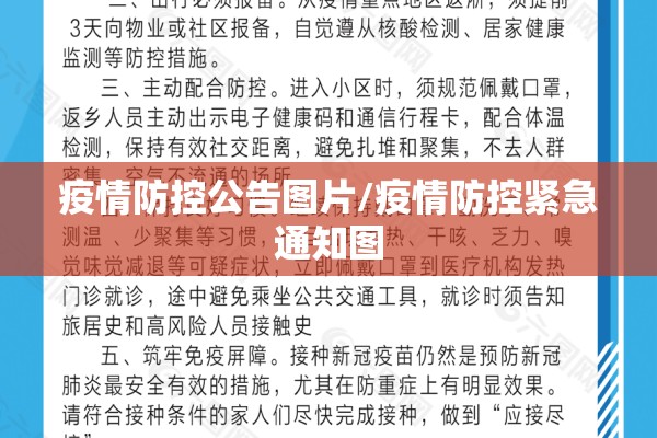 疫情防控程序（疫情防控程序是什么）
