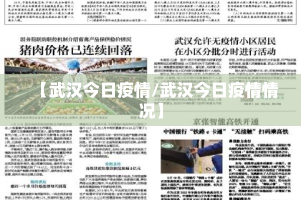 【武汉今日疫情/武汉今日疫情情况】