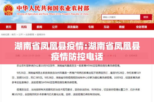 南京疫情发布会完整版（南京新冠肺炎疫情发布会）