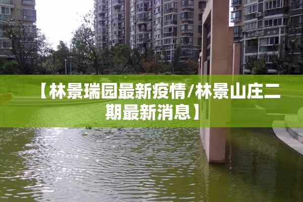 玩家辅助神器:新永和大厅开挂神器”开挂(透视)辅助教程