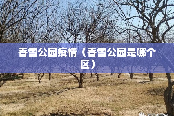 疫情大数据报告/疫情 大数据