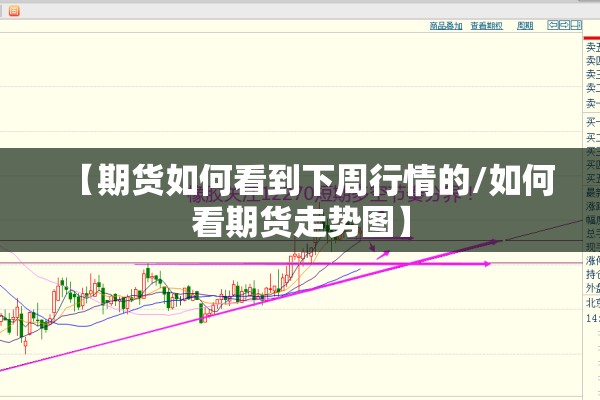 【全市疫情防控,市疫情防控指挥部】