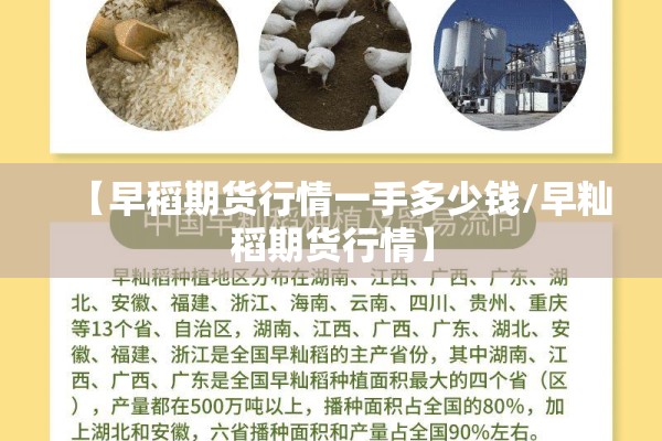 疫情能:疫情能活下来的都是英雄