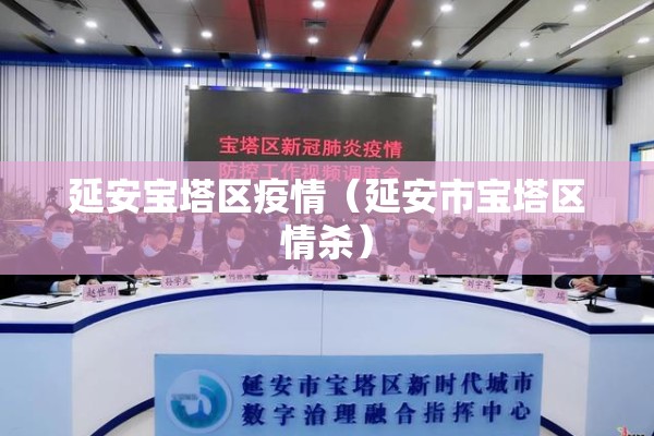 【召开疫情/疫情防控会议记录内容】